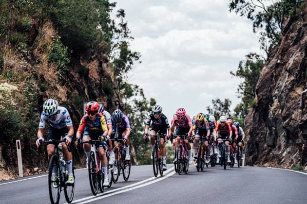 2026 Women s Tour Down Under Stage 2 Picture by Zac Williams SWpix.com - 18 01 2026 - Cycling - 2026 Women s Tour Down Under Stage 2 - Magill to Paracombe - The peloton. Copyright: x xSWpix.comx(t axPhotographyxHubxLtd)xZacxWilliams SWpix.comx SWP-2645