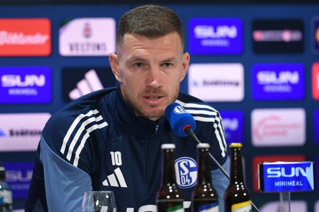 Vorstellung von Edin Dzeko beim FC Schalke 04 am 22.01.2026 in der Veltins Arena in Gelsenkirchen Edin Dzeko ( Schalke )