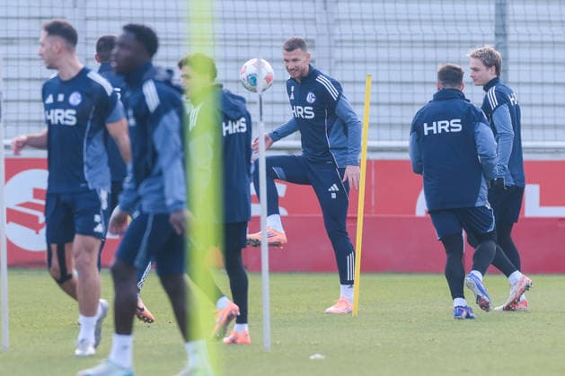 23.01.2026, Fussball, Saison 2025 2026, Training FC Schalke 04, Edin Dzeko (FC Schalke 04), Gelsenkirchen Trainingsgelände des S04 Hamburg Deutschland xRHR-FOTO DEx