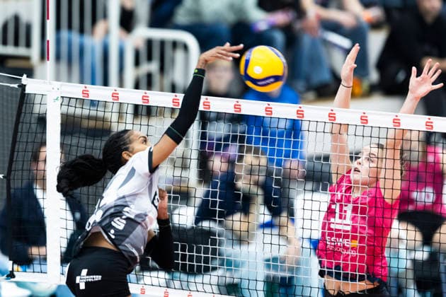 1. Volleyball Bundesliga Frauen: Schwarz-Weiss Erfurt vs. VC Wiesbaden; Erfurt; 23.01.2026 Alianza Darley ( 14; Schwarz-Weiss Erfurt) gegen Sanne Konijnenberg ( 11; VC Wiesbaden) 1. Volleyball Bundesliga Frauen: Schwarz-Weiss Erfurt vs. VC Wiesbaden; Riethsporthalle Erfurt; 23.01.2026 Copyright: xBEAUTIFULxSPORTS Duehringx