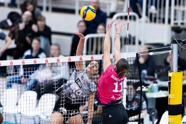 1. Volleyball Bundesliga Frauen: Schwarz-Weiss Erfurt vs. VC Wiesbaden; Erfurt; 23.01.2026 Kinga Szücs ( 10; Schwarz-Weiss Erfurt) gegen Sanne Konijnenberg ( 11; VC Wiesbaden) 1. Volleyball Bundesliga Frauen: Schwarz-Weiss Erfurt vs. VC Wiesbaden; Riethsporthalle Erfurt; 23.01.2026 Copyright: xBEAUTIFULxSPORTS Duehringx