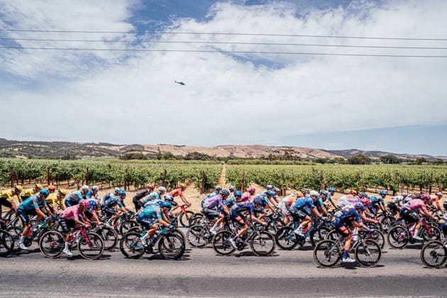 2026 Tour Down Under Stage 4 Picture by Zac Williams SWpix.com - 24 01 2026 - Cycling - 2026 Tour Down Under - Stage 4 - Brighton to Willunga - The peloton. Copyright: x xSWpix.comx(t axPhotographyxHubxLtd)xZacxWilliams SWpix.comx SWP-2645