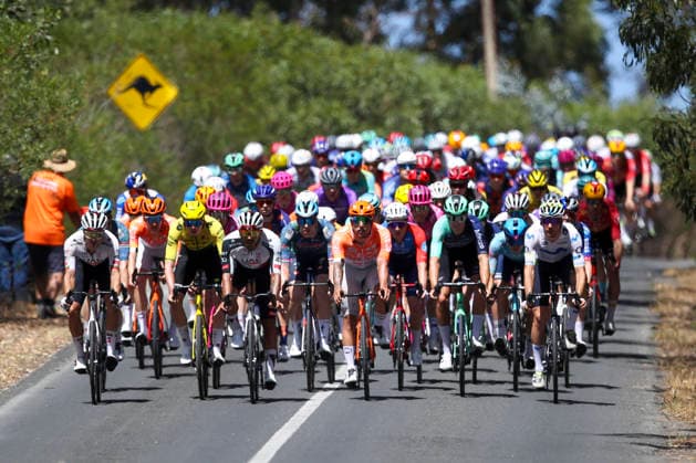 CYCLING TOUR DOWN UNDER, The Peloton during stage 5, Stirling circuit, 169.8km of the 2026 Men s Tour Down Under professional road bicycle race in Adelaide, Sunday, January 25, 2026. ( NO ARCHIVING, EDITORIAL USE ONLY ADELAIDE SOUTH AUSTRALIA AUSTRALIA  Copyright: xMATTxTURNERx 20260125147345170379