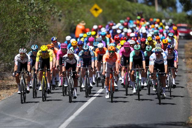 CYCLING TOUR DOWN UNDER, The Peloton during stage 5, Stirling circuit, 169.8km of the 2026 Men s Tour Down Under professional road bicycle race in Adelaide, Sunday, January 25, 2026. ( NO ARCHIVING, EDITORIAL USE ONLY ADELAIDE SOUTH AUSTRALIA AUSTRALIA  Copyright: xMATTxTURNERx 20260125169428595202