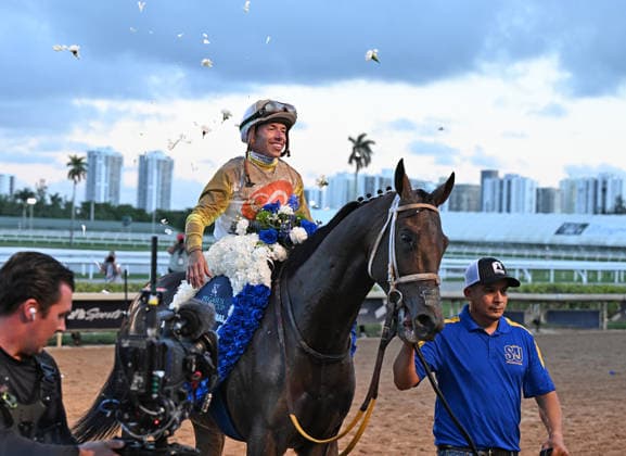 HALLANDALE, FLORIDA - JANUARY 24: Skippylongstocking (5) with jockey Tyler Gaffalione wins The Pegasus World Cup 2026 at Gulfstream Park on January 24, 2026 in Hallandale, Florida. . Copyright: xmpi04x