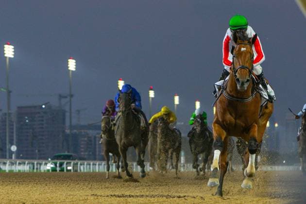 Flat racing dirt and turf surface, Dubai Millennium Stakes Group 3 plus 8 Thoroughbred race. SAALOOM (USA) ridden by Tadhg O Shea wins the 1600m JAFZA LOGISTICS PARK Maiden, race 2, at Meydan Dubai World Cup Carnival. Horse Racing, DWC Carnival Meeting, Meydan, Dubai, UAE - 30 Jan 2026Dubai Meydan United Arab Emirates  Copyright: xCedricxLane Shutterstockx 16487661l
