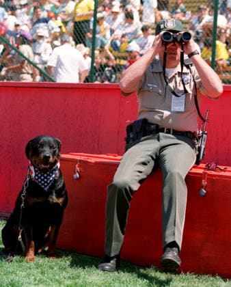 Colombia V Romania, FIFA World Cup, WM, Weltmeisterschaft, Fussball Finals Group A Police Security With Dog At of World Cup 1994 on team bench during the FIFA World Cup Finals Group A match between Colombia and Romania at Rose Bowl In Pasadena on June 18, 1994 in California, United States. California Rose Bowl In Pasadena United States United States Copyright: xAllstarxPicturexLibraryxLtdx