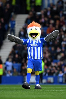 Brighton and Hove Albion v Everton, Premier League Brighton s mascot, Gully the seagull before the Premier League match between Brighton and Hove Albion and Everton at the American Express Stadium, Brighton and Hove, UK on 31 January 2026. Brighton and Hove American Express Stadium East Sussex UK Editorial use only DataCo restrictions apply See www.football-dataco.com , Copyright: xJeffxMoodx PSI-23658-0079