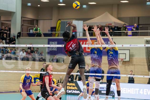 1.Volleyball Bundesliga -Saison 2025 2026 Cerebricks Volley Goats Mitteldeutschland vs.Barock Volleys MTV Ludwigsburg Halle, Deutschland 31. Januar 2026: Im Bild:v.li.Nyherowo Omene(Ludwigsburg) , Dax Tompkins (Bitterfeld) und Clay Wieter (Bitterfeld) Halle Saale swh.Arena Sachsen-Anhalt Deutschland