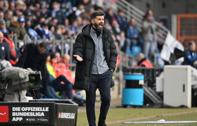 Trainer Miron Muslic (FC Schalke 04) 31.01.2026, Fussball 2. Bundesliga, Saison 2025 2026, 20. Spieltag, VfL Bochum - FC Schalke 04 2:0 DFL regulations prohibit any use of photographs as image sequences and or quasi-video Bochum Vonovia Ruhrstadion Nordrhein Westfalen Deutschland
