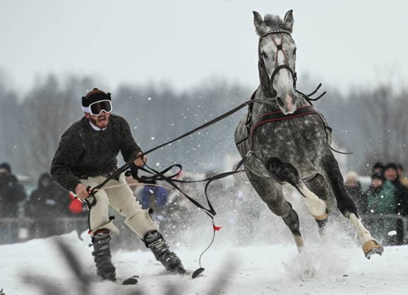 Ludzmierz Hosts Second Leg Of Kumoterki Festival Sleigh Races LUDZMIERZ, POLAND FEBRUARY 1: A participant takes part in a skijoring (skiring) race, in which a skier is pulled by a horse, during the Ludzmierz leg of the Kumoterki Festival celebrating Podhale highlander culture with regional costumes and winter competitions, in Ludzmierz, Nowy Targ County, Poland, on February 1, 2026. The Ludzmierz stop is the second leg of the six-event Parady Gazdowskie and Kumoterki Festival series held across Podhale from late January through early March, featuring judged horse-drawn sleigh parades and traditional kumoterki races. Ludzmierz Poland  Copyright: xArturxWidakx originalFilename:widak-ludzmier260201_np14H.jpg