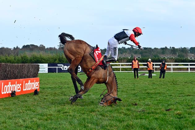 01.02.2026, Leopardstown, Dublin, IRL - Jimmy du Seuil and Patrick Mullins fall at the last obstacle during the Ladbrokes Chase. Both remain uninjured. Leopardstown racecourse. (Pferd, Jockey, Jimmy du Seuil, Mullins, Hindernis, Hindernisrennen, Jagdrennen, Steeple-Chase, Sturz, stuerzen, fallen, Gefahr, gefaehrlich, Verletzungsgefahr) 260201C609LEOPARDSTOWN.JPG *** 01 02 2026, Leopardstown, Dublin, IRL Jimmy du Seuil and Patrick Mullins fall at the last obstacle during the Ladbrokes Chase Both remain uninjured Leopardstown racecourse horse, jockey, Jimmy du Seuil, Mullins, obstacle, steeplechase, steeplechase, fall, fall, danger, dangerous, risk of injury 260201C609LEOPARDSTOWN JPG