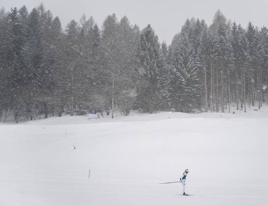 260203 Moa Ilar of Sweden at a Cross-Country Skiing training session during day -3 of the 2026 Winter Olympics on February 3, 2026 in Val di Fiemme. Photo: Maxim Thore BILDBYRAN kod MT MT0949 skidor cross-country skiing langrenn Olympic Games, Olympische Spiele, Olympia, OS olympics winter olympics os ol olympiska spel vinter-os olympiske leker milano cortina 2026 milan cortina 2026 milano cortina 2026 olympic games milano cortina 2026 winter olympic games milano cortina-os milano cortina-ol vinter-ol -3 bbeng träning training sverige *** 260203 Moa Ilar of Sweden at a Cross Country Skiing training session during day 3 of the 2026 Winter Olympics on February 3, 2026 in Val di Fiemme Photo Maxim Thore BILDBYRAN kod MT MT0949 skidor cross country skiing langrenn olympic games olympics winter olympics os ol olympiska spel vinter os olympiske leker milano cortina 2026 milan cortina 2026 milano cortina 2026 olympic games milano cortina 2026 winter olympic games milano cortina os milano cortina ol vinter ol 3 bbeng träning training sverige  Copyright: MAXIMxTHORE BB260203MT007