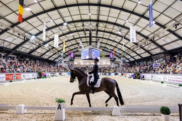 NEUMUENSTER - VR Classics 2026 Jubiläumsturnier 75 Jahre, NEUMUENSTER - VR Classics 2026 Jubiläumsturnier 75 Jahre NETZ Raphael (GER), Great Escape Camelot CDI-W FEI Grand Prix de Dressage Dressurprüfung Kl. S**** international FEI Dressage World CupTM Preis von Madeleine Winter-Schulze & Familie Schwiebert, Helenenhof Neumünster, Holstenhallen 14. February 2026 - *** NEUMUENSTER VR Classics 2026 Anniversary show 75 years, NEUMUENSTER VR Classics 2026 Anniversary show 75 years NETZ Raphael GER , Great Escape Camelot CDI W FEI Grand Prix de Dressage Dressage class S international FEI Dressage World CupTM Prize of Madeleine Winter Schulze Familie Schwiebert, Helenenhof Neumünster, Holstenhallen 14 February 2026