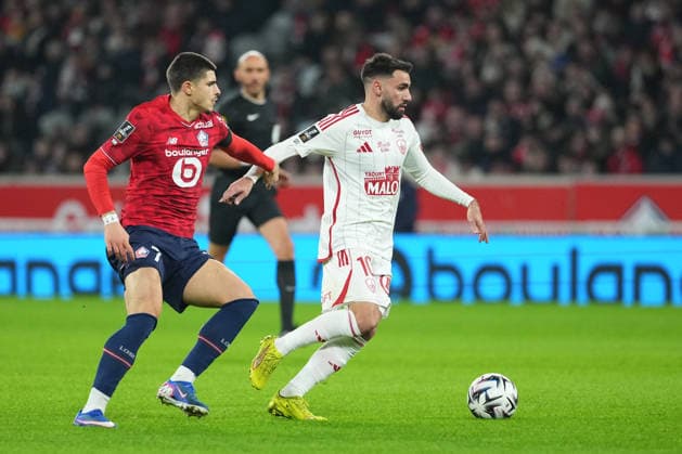 Lille OSC v Stade Brestois 29 - Ligue 1 McDonald s 2025 2026 07 Matias Fernandez PARDO (losc) - 10 Romain DEL CASTILLO (sb29) during the Ligue 1 McDonald s match between Lille and Brest at Stade Pierre Mauroy on February 14, 2026 in Lille, France. Lille France  Copyright: xFEPx 776348290