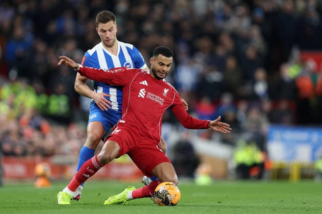 Liverpool v Brighton 14 February 2026, Liverpool - Emirates FA Cup, Fourth Round - Liverpool v Brighton & Hove Albion - Joel Veltman of Brighton & Hove Albion and Cody Gakpo of Liverpool - Photo: Charlotte Wilson Offside. Liverpool UK Copyright: xCharlottexWilsonx xOffsidexOffside
