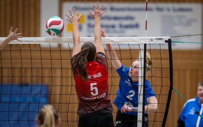 Volleyball, Saison 2025 2026, Dritte Liga West, 14.02.2026, 16. Spieltag, Frauen, BW Dingden (blau) vs. VV Humann Essen (rot) v.l.: Sabrina Grosse-Wilde (VV Humann Essen), Eva Schmitz (BW Dingden), Hamminkeln Sporthalle am Mumbeckerbach Nordrhein-Westfalen Deutschland