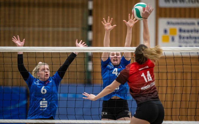 Volleyball, Saison 2025 2026, Dritte Liga West, 14.02.2026, 16. Spieltag, Frauen, BW Dingden (blau) vs. VV Humann Essen (rot) v.l.: Louisa Baumeister (BW Dingden), Leni Vehns (BW Dingden), Lisa Mueller (VV Humann Essen), Hamminkeln Sporthalle am Mumbeckerbach Nordrhein-Westfalen Deutschland