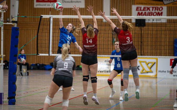 Volleyball, Saison 2025 2026, Dritte Liga West, 14.02.2026, 16. Spieltag, Frauen, BW Dingden (blau) vs. VV Humann Essen (rot) v.l.: Andrea Harbring (BW Dingden), Vivian Gelhaar (Libera VV Humann Essen), Lisa Mueller (VV Humann Essen), Janne Epping (BW Dingden), Ina Falk (VV Humann Essen), Hamminkeln Sporthalle am Mumbeckerbach Nordrhein-Westfalen Deutschland