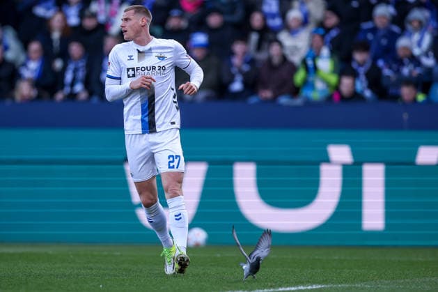 15.02.2026, Fußball, VfL Bochum - SC Paderborn 07, 2. Fußball Bundesliga, 22. Spieltag, Vonovia Ruhrstadion, Saison 2025 2026: Eine Taube im Strafraum auf dem Spielfeld neben Steffen Tigges (SC Paderborn 27) DFB regulations prohibit any use of photographs as image sequences and or quasi-video. Nordrhein-Westfalen Deutschland
