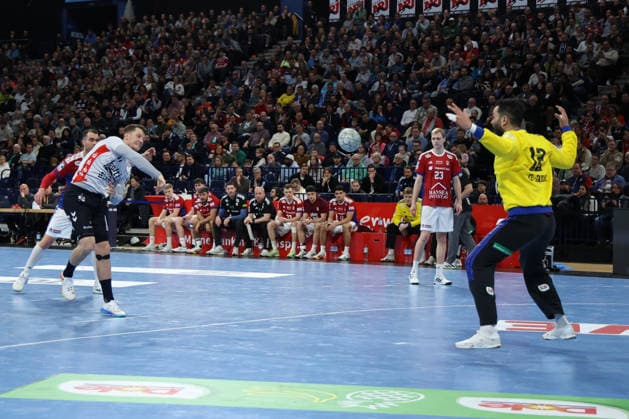 2026.02.15 xfsx Handballl 1. Bundesliga Hamburger Sportverein Handball - SG Flensburg-Handewitt v.l. Emil Manfeldt Jakobsen (31, SG Flensburg-Handewitt) , Torwart Mohamed El-Tayar (12, HSV Hamburg Handball ) in aktion, in action Copyright: HMBxMedia FernandoxSoares