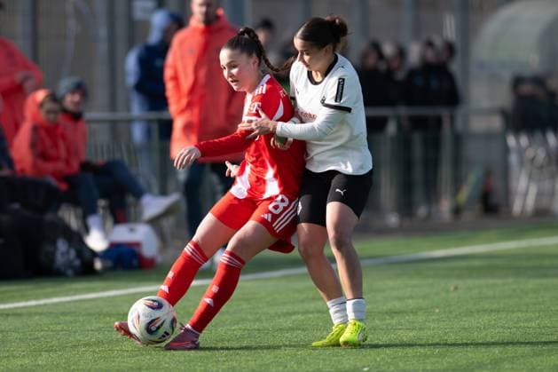 Samira Di Lauro 8 (FC Bayern Muenchen) schirmt den Ball ab gegen Alina Abdii 11 (Borussia Moenchengladbach), Borussia Moenchengladbach - FC Bayern Muenchen II, Fussball, 2. Bundesliga Frauen, 17. Spieltag, 15.02.2026 Moenchengladbach Nordrhein-Westfalen Deutschland