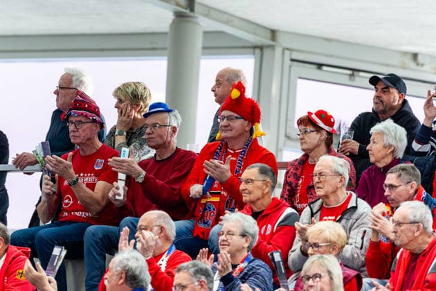 15.02.2026, GER, Handball, Frauen, Saison 2025 2026, EHF European League , Gruppenphase, Thueringer HC - Motherson Mosonmagyarovari KC zeigt Fans auf der Tribuene mit einer Karnevalbekleidung 99947 Bad Langensalza Salza Halle Sporthalle Mehrz Thüringen Deutschland
