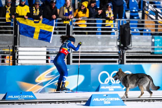 260218 Konstantina Charalampidou of Greece passes a dog named Nazgul at the women s free technique team sprint cross-country skiing qualification during day 12 of the 2026 Winter Olympics on February 18, 2026 in Val di Fiemme. Photo: Maxim ThorÃ BILDBYRAN kod MT MT0993 skidor cross-country skiing langrenn Olympic Games, Olympische Spiele, Olympia, OS olympics winter olympics os ol olympiska spel vinter-os olympiske leker milano cortina 2026 milan cortina 2026 milano cortina 2026 olympic games milano cortina 2026 winter olympic games milano cortina-os milano cortina-ol vinter-ol 12 bbeng teamsprint topx *** 260218 Konstantina Charalampidou of Greece passes a dog named Nazgul at the women s free technique team sprint cross country skiing qualification during day 12 of the 2026 Winter Olympics on February 18, 2026 in Val di Fiemme Photo Maxim ThorÃ BILDBYRAN code MT MT0993 skiing cross country skiing cross country olympic games olympics winter olympics os ol olympic games winter os olympic games milano cortina 2026 milan cortina 2026 milano cortina 2026 olympic games milano cortina 2026 winter olympic games milano cortina os milano cortina ol winter ol 12 bbeng teamsprint topx  Copyright: MAXIMxTHORE BB260218MT153