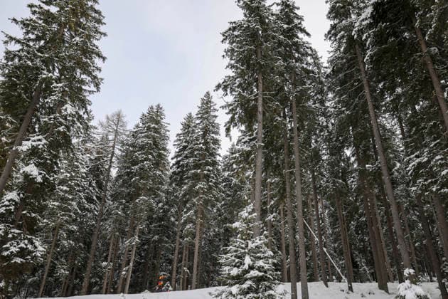 (260219) -- ANTERSELVA, Feb. 19, 2026 -- Athlete competes during the biathlon women s 4x6km relay at the 2026 Milan-Cortina Winter Olympics in Anterselva, Italy, Feb. 18, 2026. ) (MICO2026)ITALY-ANTERSELVA-OLYMPIC Winter games, Winterspiele,Spiele, Summer games BIATHLON-WOMEN S 4x6KM RELAY ZhangxTao 