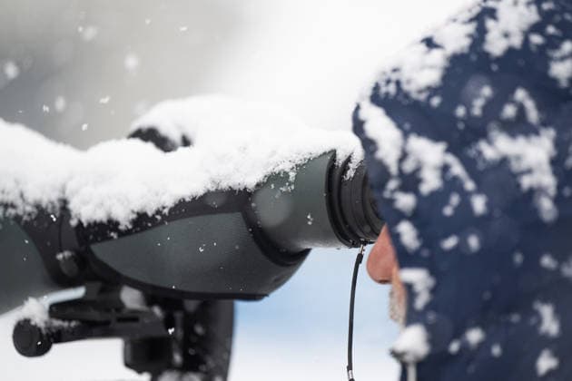 260219 A coach of France looks through a binocular covered with snow at a biathlon training session during day 13 of the 2026 Winter Olympics on February 19, 2026 in Anterselva. Photo: Mathias Bergeld BILDBYRAN kod MB MB1338 skidskytte biathlon skiskyting Olympic Games, Olympische Spiele, Olympia, OS olympics winter olympics os ol olympiska spel vinter-os olympiske leker milano cortina 2026 milan cortina 2026 milano cortina 2026 olympic games milano cortina 2026 winter olympic games milano cortina-os milano cortina-ol vinter-ol 13 bbeng träning training genre snö snöfall kikare *** 260219 A coach of France looks through a binocular covered with snow at a biathlon training session during day 13 of the 2026 Winter Olympics on February 19, 2026 in Anterselva Photo Mathias Bergeld BILDBYRAN code MB MB1338 biathlon biathlon biathlon olympic games olympics olympics winter olympics os ol olympic games winter os olympic games milano cortina 2026 milan cortina 2026 milano cortina 2026 olympic games milano cortina 2026 winter olympic games milano cortina os milano cortina ol winter ol 13 bbeng training training genre snow snowfall binoculars  Copyright: MATHIASxBERGELD BB260219MB006