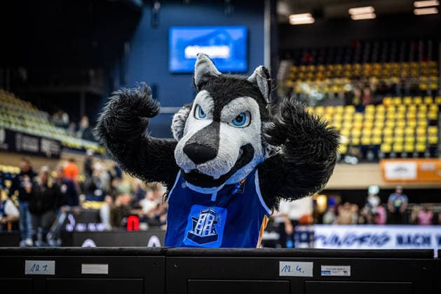 Rostock, Deutschland 06. März 2026: 1.BBL 2025 2026 Rostock Seawolves gegen VET-CONCEPT Gladiators Trier Im Bild: Wolfi, das Maskottchen der Seawolves Copyright: xFotostandx xVoelkerx