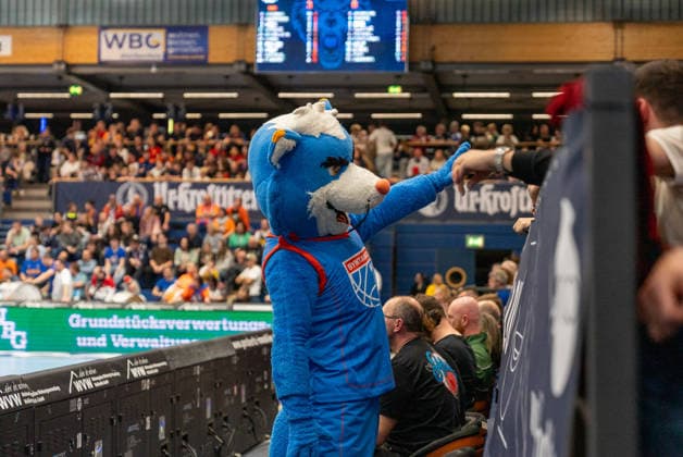 das Weissenfelser Maskottchen in Interaktion mit Fans Syntainics MBC vs. Skyliners Frankfurt, Basketball, 1. Basketball Bundesliga, 22. Spieltag, Saison 2025 2026, 06.03.2026 Syntainics MBC vs. Skyliners Frankfurt, Basketball, 1. Basketball Bundesliga, 22. Spieltag, Saison 2025 2026, 06.03.2026 Weissenfels Copyright: xEibner-Pressefoto PiaxSchindlerx EP_PSR