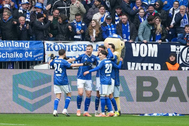 Fussball: 2. Bundesliga, 26. Spieltag, FC Schalke 04 - Hannover 96 am 15.03.2026 in Gelsenkirchen (VELTINS-Arena), Deutschland, Saison 2025 2026: DFB DFL REGULATIONS PROHIBIT ANY USE OF PHOTOGRAPHS as IMAGE SEQUENCES and or QUASI-VIDEO: Kollektiver Jubel nach dem Tor von Dzeko, Edin (10,S04) zum 1:0. Gelsenkirchen VELTINS-Arena Deutschland