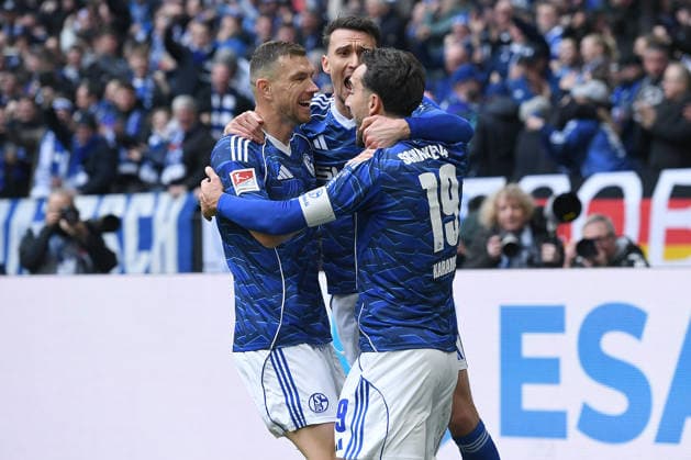 Fußball 2. Bundesliga 26. Spieltag FC Schalke 04 - Hannover 96 am 15.03.2026 in der Veltins Arena in Gelsenkirchen Torjubel zum 1:0 durch Edin Dzeko ( Schalke ) DFL regulations prohibit any use of photographs as image sequences and or quasi-video.