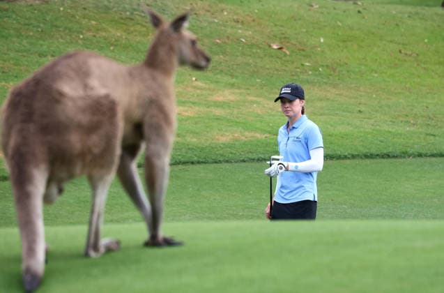 GOLF AUSTRALIAN WPGA, Australia s Jazy Roberts looks on as a kangaroo crosses the 1st fairway during the 2026 Australian WPGA Championship at Sanctuary Cove Golf and Country Club on the Gold Coast, Thursday, March 19, 2026. ( NO ARCHIVING, EDITORIAL USE ONLY GOLD COAST QUEENSLAND AUSTRALIA  Copyright: xx 20260319175440473774