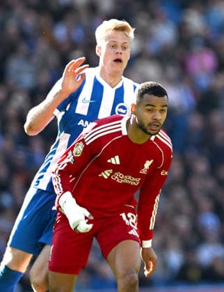 Jan Paul van Hecke of Brighton gets on the back of Cody Gakpo of Liverpool during the Premier League match between Brighton and Hove Albion and Liverpool at the American Express Stadium , Brighton , UK - 21st March 2026 Brighton & Hove Albion vs Liverpool Premier League Football, Amex Stadium, Sussex, United Kingdom - 21 Mar 2026Brighton Amex Stadium Sussex United Kingdom Editorial use only. No merchandising. For Football images FA and Premier League restrictions apply inc. no internet mobile usage without FAPL license - for details contact Football Dataco  Copyright: xSimonxDack TPI Shutterstockx 16784403ba