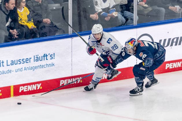 Kampf um den Puck Zweikampf zwischen Alexander Ehl (Adler Mannheim, 28) und Maximilian Daubner (EHC Red Bull Muenchen, 70) GER, EHC Red Bull Muenchen vs. Adler Mannheim, Eishockey, DEL, Playoffs, Halbfinale Spiel 2, Saison 2025 2026, 10.04.2026. GER, EHC Red Bull Muenchen vs. Adler Mannheim, Eishockey, DEL, Playoffs, Halbfinale Spiel 2, Saison 2025 2026, 10.04.2026. Muenchen *** Battle for the puck duel between Alexander Ehl Adler Mannheim, 28 and Maximilian Daubner EHC Red Bull Muenchen, 70 GER, EHC Red Bull Muenchen vs Adler Mannheim, ice hockey, DEL, playoffs, semi-final game 2, 2025 2026 season, 10 04 2026 GER, EHC Red Bull Muenchen vs Adler Mannheim, ice hockey, DEL, playoffs, semi-final game 2, 2025 2026 season, 10 04 2026 Muenchen Copyright: xEibner-Pressefoto FranzxFeinerx EP_HFR