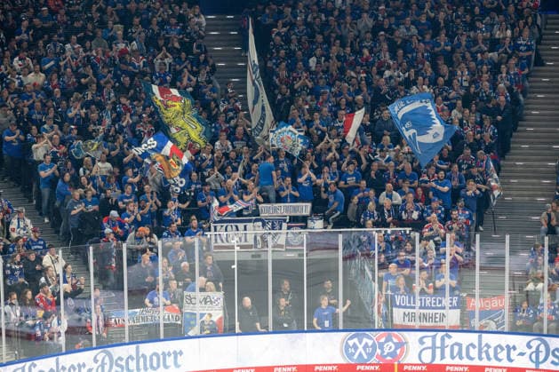 Die mitgereisten Mannheimer Fans im Gaesteblock GER, EHC Red Bull Muenchen vs. Adler Mannheim, Eishockey, DEL, Playoffs, Halbfinale Spiel 2, Saison 2025 2026, 10.04.2026. GER, EHC Red Bull Muenchen vs. Adler Mannheim, Eishockey, DEL, Playoffs, Halbfinale Spiel 2, Saison 2025 2026, 10.04.2026. Muenchen *** The accompanying Mannheim fans in the guest block GER, EHC Red Bull Muenchen vs Adler Mannheim, ice hockey, DEL, playoffs, semi-final game 2, season 2025 2026, 10 04 2026 GER, EHC Red Bull Muenchen vs Adler Mannheim, ice hockey, DEL, playoffs, semi-final game 2, season 2025 2026, 10 04 2026 Muenchen Copyright: xEibner-Pressefoto FranzxFeinerx EP_HFR
