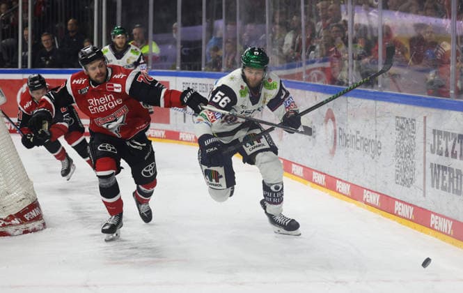 Im Zweikampf v.l. Dominik Bokk (Koelner Haie 78), Markus Niemelaeinen (Eisbaeren Berlin 56) Koelner Haie vs. Eisbaeren Berlin, Eishockey, DEL, Playoffs, Halbfinale Spiel 2, Spielzeit 2025 2026, 10.04.2026 Koelner Haie vs. Eisbaeren Berlin, Eishockey, DEL, Playoffs, Halbfinale Spiel 2, Spielzeit 2025 2026, 10.04.2026 Koeln *** In the duel f l Dominik Bokk Koelner Haie 78 , Markus Niemelaeinen Eisbaeren Berlin 56 Koelner Haie vs Eisbaeren Berlin, Ice Hockey, DEL, Playoffs, Semifinal Game 2, Season 2025 2026, 10 04 2026 Koelner Haie vs Eisbaeren Berlin, Ice Hockey, DEL, Playoffs, Semifinal Game 2, Season 2025 2026, 10 04 2026 Koeln Copyright: xEibner-Pressefotox xThomasxStoecx EP_TSR