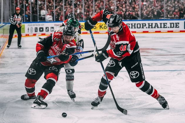 10.04.2026, xjmrgnx, Eishockey Penny DEL 1 2 Finale, Koelner Haie - Eisbären Berlin v.l. Zweikampf zwischen Juhani Tyrväinen (21, Koelner Haie) Liam Kirk (94, Eisbaeren Berlin) und Kevin Niedenz (46, Koelner Haie) (DFL DFB REGULATIONS PROHIBIT ANY USE OF PHOTOGRAPHS as IMAGE SEQUENCES and or QUASI-VIDEO) Koeln *** 10 04 2026, xjmrgnx, Ice Hockey Penny DEL 1 2 Final, Koelner Haie Eisbären Berlin v l duel between Juhani Tyrväinen 21, Koelner Haie Liam Kirk 94, Eisbaeren Berlin and Kevin Niedenz 46, Koelner Haie DFL DFB REGULATIONS PROHIBIT ANY USE OF PHOTOGRAPHS as IMAGE SEQUENCES and or QUASI VIDEO Koeln