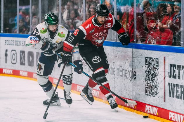10.04.2026, xjmrgnx, Eishockey Penny DEL 1 2 Finale, Koelner Haie - Eisbären Berlin v.l. Zweikampf an der bande zwischen Markus Vikingstad (37, Eisbaeren Berlin) und Louis-Marc Aubry (15, Koelner Haie) (DFL DFB REGULATIONS PROHIBIT ANY USE OF PHOTOGRAPHS as IMAGE SEQUENCES and or QUASI-VIDEO) Koeln *** 10 04 2026, xjmrgnx, Eishockey Penny DEL 1 2 Finale, Koelner Haie Eisbären Berlin v l Zweikampf an der Bande zwischen Markus Vikingstad 37, Eisbaeren Berlin und Louis Marc Aubry 15, Koelner Haie DFL DFB REGULATIONS PROHIBIT ANY USE OF PHOTOGRAPHS as IMAGE SEQUENCES and or QUASI VIDEO Koeln
