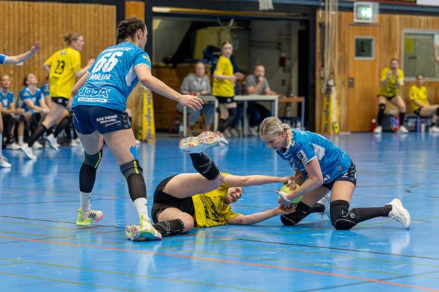 11.04.2026 Handball 3. Liga Frauen Staffel Nord Saison 2025 2026 21. Spieltag TSV Altenholz - SV Todesfelde. (Altenholz in Gelb Schwarz, Todesfelde in Blau) V.l.n.r.: Lena Müller, Maria Molge, Franziska Haupt Altenholz Edgar-Meschkat-Halle, Danziger S Schleswig Holstein Deutschland *** 11 04 2026 Handball 3 Liga Women Staffel Nord Season 2025 2026 21 Matchday TSV Altenholz SV Todesfelde Altenholz in yellow black, Todesfelde in blue V l n r Lena Müller, Maria Molge, Franziska Haupt Altenholz Edgar Meschkat Halle, Danziger S Schleswig Holstein Germany