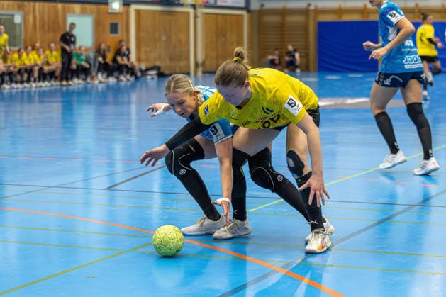11.04.2026 Handball 3. Liga Frauen Staffel Nord Saison 2025 2026 21. Spieltag TSV Altenholz - SV Todesfelde. (Altenholz in Gelb Schwarz, Todesfelde in Blau) Franziska Haupt (li.), Henriette Hanna Seidel Altenholz Edgar-Meschkat-Halle, Danziger S Schleswig Holstein Deutschland *** 11 04 2026 Handball 3 League Women Season North Season 2025 2026 21 Matchday TSV Altenholz SV Todesfelde Altenholz in Yellow Black, Todesfelde in Blue Franziska Haupt li , Henriette Hanna Seidel Altenholz Edgar Meschkat Halle, Danziger S Schleswig Holstein Germany