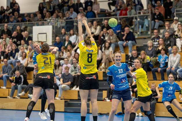 11.04.2026 Handball 3. Liga Frauen Staffel Nord Saison 2025 2026 21. Spieltag TSV Altenholz - SV Todesfelde. (Altenholz in Gelb Schwarz, Todesfelde in Blau) V.l.n.r.: Franziska Haupt (Werferin), Helena Thielmann, Jane Burmeister, Rieka Thal, Maria Molge Altenholz Edgar-Meschkat-Halle, Danziger S Schleswig Holstein Deutschland *** 11 04 2026 Handball 3 Liga Women Staffel Nord Season 2025 2026 21 Matchday TSV Altenholz SV Todesfelde Altenholz in Yellow Black, Todesfelde in Blue V l n r Franziska Haupt Werferin , Helena Thielmann, Jane Burmeister, Rieka Thal, Maria Molge Altenholz Edgar Meschkat Halle, Danziger S Schleswig Holstein Germany