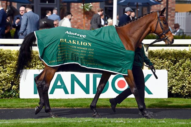 11.04.2026, Aintree, Liverpool, GBR - 3rd times Grand National starter Blaklion in the parade ring. Aintree racecourse. (Pferd, Blaklion) 260411C903AINTREE.JPG *** 11 04 2026, Aintree, Liverpool, GBR 3rd times Grand National starter Blaklion in the parade ring Aintree racecourse horse, Blaklion 260411C903AINTREE JPG
