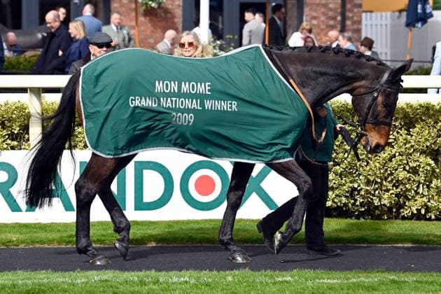 11.04.2026, Aintree, Liverpool, GBR - Former Grand National winner Mon Mome in the parade ring. Aintree racecourse. (Pferd, Mon Mome) 260411C904AINTREE.JPG *** 11 04 2026, Aintree, Liverpool, GBR Former Grand National winner Mon Mome in the parade ring Aintree racecourse horse, Mon Mome 260411C904AINTREE JPG