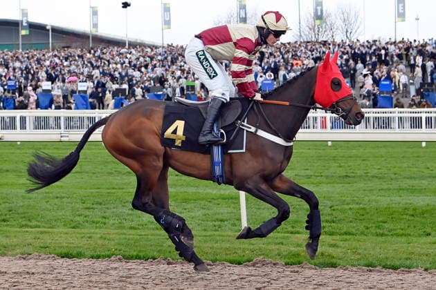 11.04.2026, Aintree, Liverpool, GBR - Mighty Bandit with James Bowen. Aintree racecourse. (Pferd, Jockey, Mighty Bandit, Bowen, Aufgalopp) 260411C906AINTREE.JPG *** 11 04 2026, Aintree, Liverpool, GBR Mighty Bandit with James Bowen Aintree racecourse horse, jockey, Mighty Bandit, Bowen, gallop 260411C906AINTREE JPG