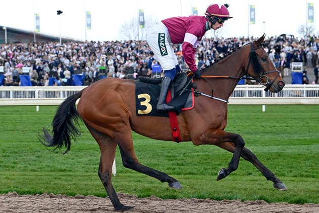 11.04.2026, Aintree, Liverpool, GBR - King of Kingsfield with Danny Gilligan. Aintree racecourse. (Pferd, Jockey, King of Kingsfield, Gilligan, Aufgalopp) 260411C907AINTREE.JPG *** 11 04 2026, Aintree, Liverpool, GBR King of Kingsfield with Danny Gilligan Aintree racecourse horse, jockey, King of Kingsfield, Gilligan, gallop 260411C907AINTREE JPG