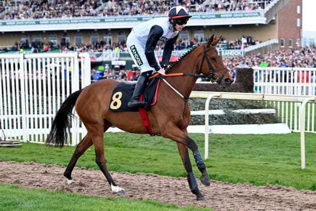 11.04.2026, Aintree, Liverpool, GBR - Kala Conti with Jack Kennedy. Aintree racecourse. (Pferd, Jockey, Kala Conti, Kennedy, Aufgalopp) 260411C908AINTREE.JPG *** 11 04 2026, Aintree, Liverpool, GBR Kala Conti with Jack Kennedy Aintree racecourse horse, jockey, Kala Conti, Kennedy, gallop 260411C908AINTREE JPG