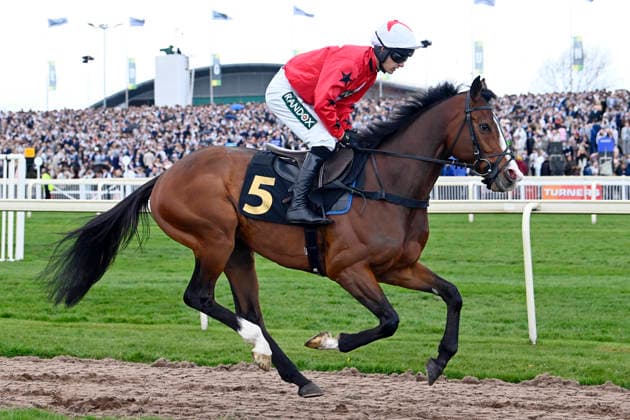 11.04.2026, Aintree, Liverpool, GBR - Mirabad with Tristan Durrell. Aintree racecourse. (Pferd, Jockey, Mirabad, Durrell, Aufgalopp) 260411C909AINTREE.JPG *** 11 04 2026, Aintree, Liverpool, GBR Mirabad with Tristan Durrell Aintree racecourse horse, jockey, Mirabad, Durrell, gallop 260411C909AINTREE JPG
